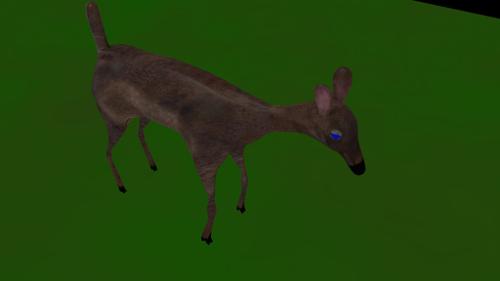 Deer preview image